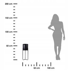 Металлическая подставка для цветов Mondex 55 см. цена и информация | Подставки для цветов, держатели для вазонов | kaup24.ee