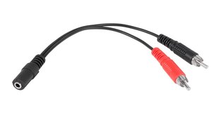 кабельная муфта 3,5-2xrca 20 см цена и информация | Адаптеры и USB-hub | kaup24.ee
