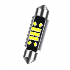 Led toru Xstorm lamp 41Mm 16Smd C5W hind ja info | Autopirnid | kaup24.ee