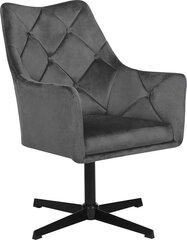 Кресло Beliani Vaksala, серый/черный цена и информация | Кресла в гостиную | kaup24.ee