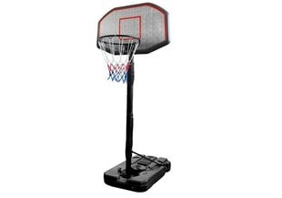 Регулируемая стойка для баскетбола, 200-300 см цена и информация | Игры на открытом воздухе | kaup24.ee