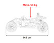Kahekohaline Buggy Racing 5, 24V, hall цена и информация | Laste elektriautod | kaup24.ee
