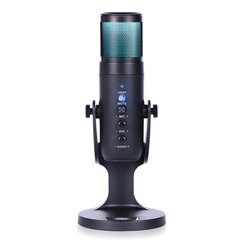 Настольный USB-микрофон Harmony Hill's AT670 цена и информация | Микрофоны | kaup24.ee