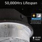 LED lamp 50W Intertek AT745 hind ja info | Aia- ja õuevalgustid | kaup24.ee