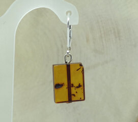 Серебряные серьги для женщин с янтарными оранжевыми бусинами цена и информация | Серьги | kaup24.ee