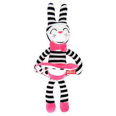 Мягкая игрушка Moms care Rabbit Girl цена и информация | Мягкие игрушки | kaup24.ee