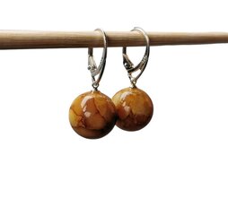 Серебреные серьги для женщин с янтарным камнем цена и информация | Серьги | kaup24.ee