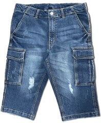 Lühikesed teksapüksid meestele Pantoneclo, sinine цена и информация | Мужские шорты | kaup24.ee