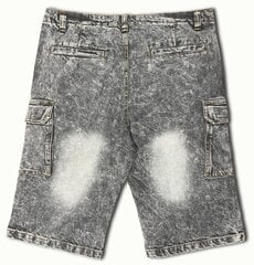 Lühikesed teksapüksid meestele Pantoneclo, hall hind ja info | Meeste lühikesed püksid | kaup24.ee