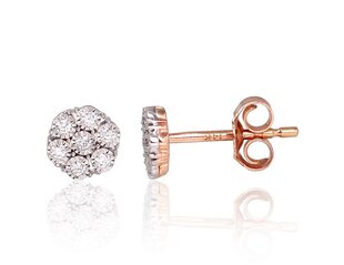 Kuldkõrvarõngad teemantidega 585 Diamond hind ja info | Kõrvarõngad | kaup24.ee