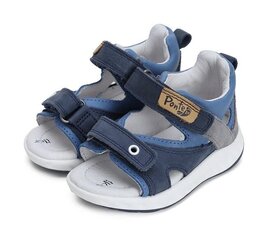 Кожаные сандалии для мальчиков Ponte20 .DA05-4-1300.Royal Blue, разноцветный цена и информация | Детские сандали | kaup24.ee