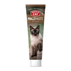 Perfecto Cat pasta kassidele Malzpaste, 100 g цена и информация | Витамины, пищевые добавки и товары от паразитов | kaup24.ee