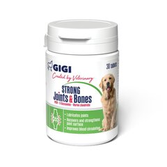 Gigi toidulisand koertele tablettidena Strong Joints & Bones, 30 tk. hind ja info | Toidulisandid ja parasiitide vastased tooted | kaup24.ee