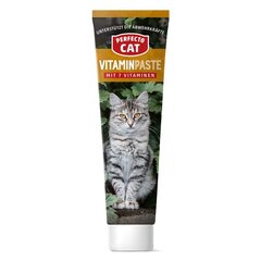 Perfecto Cat паста для кошек Vitaminpaste, 100 гр цена и информация | Витамины, пищевые добавки и товары от паразитов | kaup24.ee