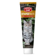 Perfecto Cat pasta kassidele Vitaminpaste, 100 g цена и информация | Витамины, пищевые добавки и товары от паразитов | kaup24.ee