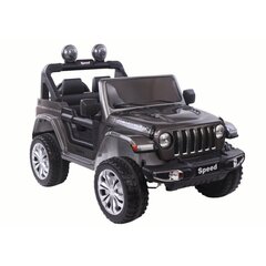 Ühekohaline elektriauto lastele 4x4 LeanToys FT-938, hall цена и информация | Электромобили для детей | kaup24.ee