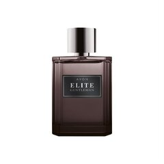 Мужская туалетная вода Avon Elite Gentleman EDT, 75 мл цена и информация | Мужские духи | kaup24.ee