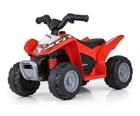 Battery operated vehicle Quad цена и информация | Электромобили для детей | kaup24.ee
