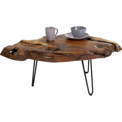 Coffee Table Aspen Nature 100x60 цена и информация | Журнальные столики | kaup24.ee