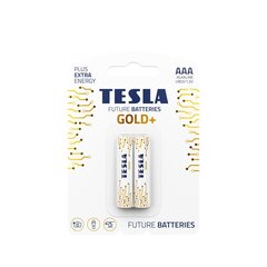 Tesla Gold Plus цена и информация | Аккумуляторы, батарейки | kaup24.ee