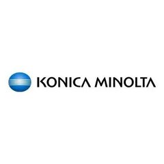 Тонер Konica-Minolta Коника-Минолта TN-514 TN514 Желтый желтый (A9E8250) цена и информация | Картриджи и тонеры | kaup24.ee