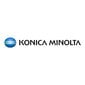 Konica Minolta A2VG0Y0 цена и информация | Laserprinteri toonerid | kaup24.ee