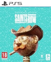 Saints Row Notorious Edition Playstation 5 PS5 mäng hind ja info | Arvutimängud, konsoolimängud | kaup24.ee