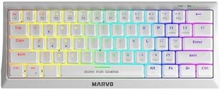 Marvo KG962 60%US Blue цена и информация | Клавиатуры | kaup24.ee