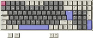 IQUNIX mänguri klaviatuur IQUNIX F97 VariablexRGB TTC Gold Pink valge/hall/violetne hind ja info | Klaviatuurid | kaup24.ee
