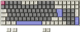 IQUNIX mänguri klaviatuur IQUNIX F97 VariablexRGB TTC Gold Pink valge/hall/violetne цена и информация | Клавиатура с игровой мышью 3GO COMBODRILEW2 USB ES | kaup24.ee