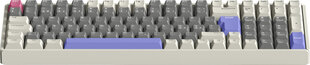 IQUNIX mänguri klaviatuur IQUNIX F97 VariablexRGB TTC Gold Pink valge/hall/violetne цена и информация | Клавиатура с игровой мышью 3GO COMBODRILEW2 USB ES | kaup24.ee