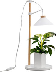 Airam laualamp Lily Plant Lamp 9W/840 550 lm valge/puu цена и информация | Проращиватели, лампы для растений | kaup24.ee