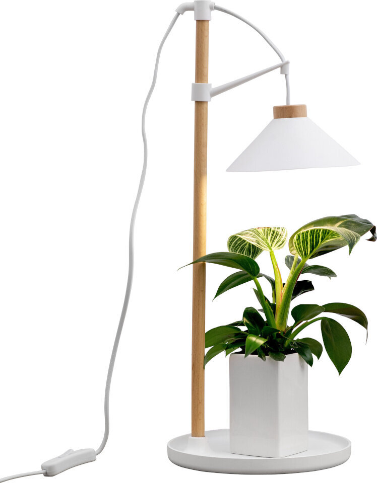 Airam laualamp Lily Plant Lamp 9W/840 550 lm valge/puu цена и информация | Nutipotid ja taimelambid | kaup24.ee