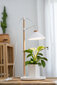 Airam laualamp Lily Plant Lamp 9W/840 550 lm valge/puu цена и информация | Nutipotid ja taimelambid | kaup24.ee