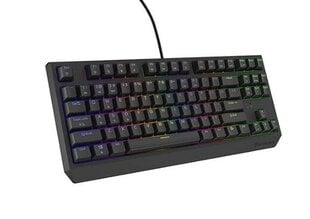 Natec Thor 230 TKL RGB Outemu Red (NKG-2077) hind ja info | Klaviatuurid | kaup24.ee