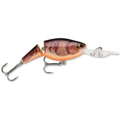 Воблер Jointed Shad Rap 5cm/8g/1.8-3.9m BCW цена и информация | Воблеры, приманки, блесны | kaup24.ee