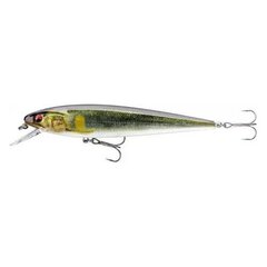 Lant Daiwa PX Minnow SR 120 hind ja info | Landid, voblerid | kaup24.ee