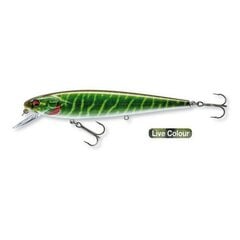 Daiwa PX Minnow SR 120 12cm/17g/0,6-1,2m live pike цена и информация | Воблеры, приманки, блесны | kaup24.ee