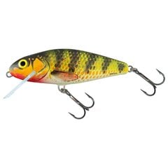 Воблер Perch 12F 12cm/36g/2.0-4.0m HOP цена и информация | Воблеры, приманки, блесны | kaup24.ee