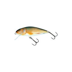 Воблер Perch 12F 12cm/36g/2.0-4.0m RER цена и информация | Воблеры, приманки, блесны | kaup24.ee