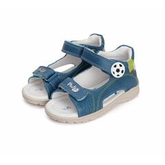 Nahast sandaalid poistele D.D.Step, sinine hind ja info | Laste sandaalid | kaup24.ee