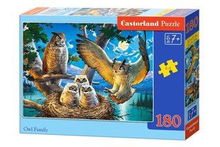 Pusle Owl family, 180 tk hind ja info | Pusled | kaup24.ee