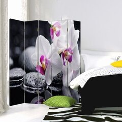 Ruumijaotur Valge orhidee hind ja info | Sirmid ja vaheseinad | kaup24.ee