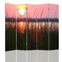 Ruumijaotur Päikeseloojang järve kaldal hind ja info | Sirmid ja vaheseinad | kaup24.ee