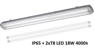 G.Lux герметичный светильник LED-36W-IP65+T8 Tube цена и информация | Потолочные светильники | kaup24.ee