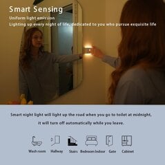 TeamBa Smart Sensor laetav öölamp, 2 tk hind ja info | Seinavalgustid | kaup24.ee