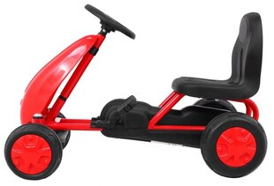 Minamas kart RoGer GoKart Cycling, punane hind ja info | Poiste mänguasjad | kaup24.ee