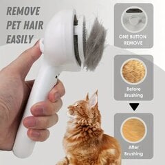 Увлажняющая щетка для волос для домашних животных цена и информация | Средства по уходу за животными | kaup24.ee