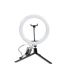 Светодиодная кольцевая лампа цена и информация | Осветительное оборудование для фотосъемок | kaup24.ee