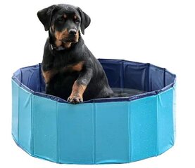 Bassein koertele Petitto, 160x30 cm, sinine hind ja info | Hooldusvahendid loomadele | kaup24.ee